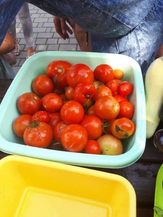 У Луцькому зоопарку зібрали урожай овочів, які садили діти. ФОТО