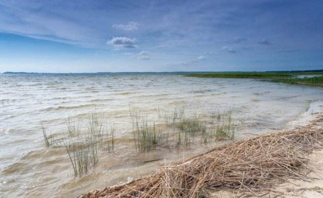 Таємничий Світязь через об'єктив волинського фотографа