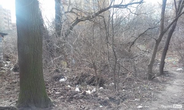 Лучани перетворюють місто на смітник. ФОТО