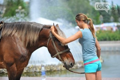 На перший у Рівному «Фестиваль сиру і вина» запросили волинських виробників