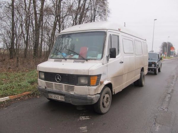 З волинського заказника викрали два столітніх дуби