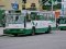 Хто у 2020-му їздитиме у маршрутках і тролейбусах Луцька безкоштовно. СПИСОК