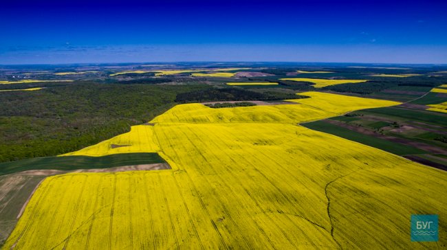 Різнобарвні краєвиди Волині з висоти пташиного польоту. ФОТО. ВІДЕО