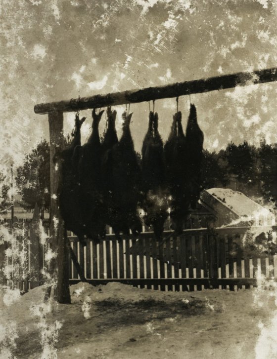 Понад 100 років тому Волинь була «Меккою» для мисливців з європейських країн. РЕТРОФОТО