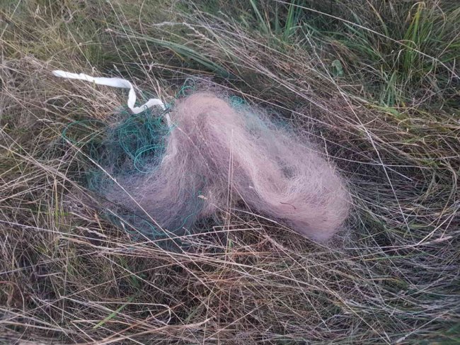 Двоє волинян-браконьєрів ловили рибу сіткою з човна. ФОТО