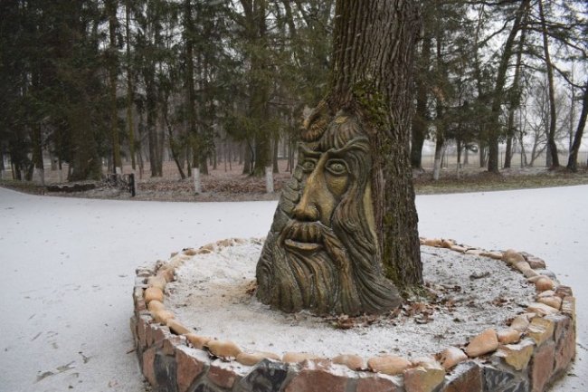 На Волині життя столітнього дуба врятували неймовірною скульптурою. ФОТО