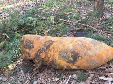 Волиняни під час прогулянки у лісі знайшли 250-кілограмову авіабомбу