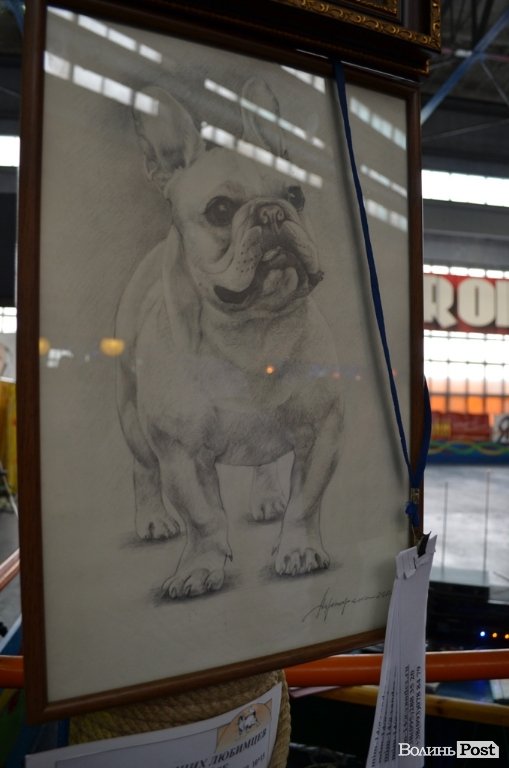 У Луцьку ‒ виставка собак. ФОТО