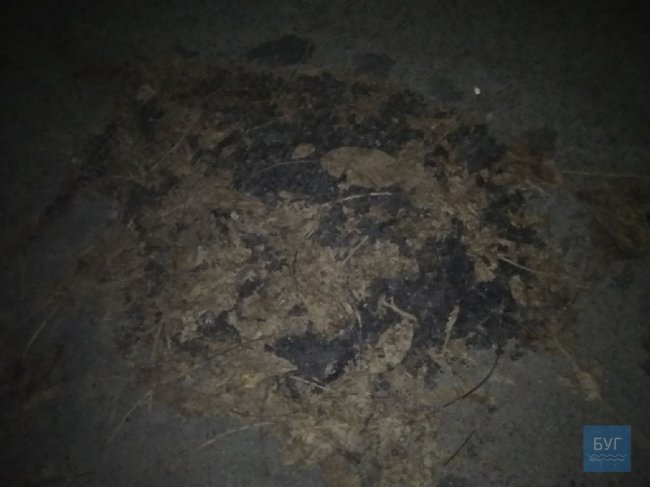 У Володимирі-Волинському водії власними силами «залатали» ями на дорозі. ФОТО