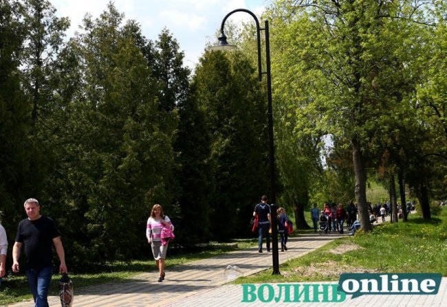 У Луцьку вандали розбили плафон ліхтаря. ФОТО