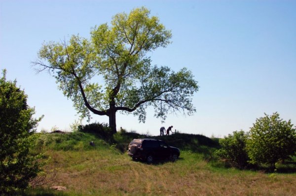 Несподівані фото української символіки. ФОТО