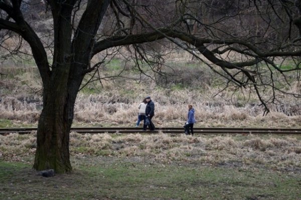 У Луцьку прибирають узбережжя Сапалаївки. ФОТО 