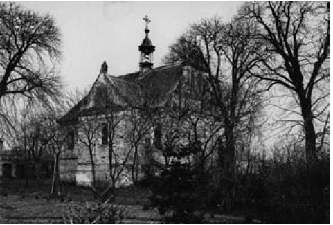 Олика. Костел апостолів Петра і Павла.