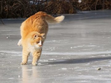 Погода у Луцьку та Волинській області на завтра, 28 листопада