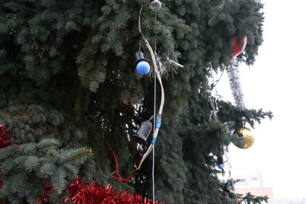 Гірлянди на центральних ялинках Луцька - не першої свіжості
