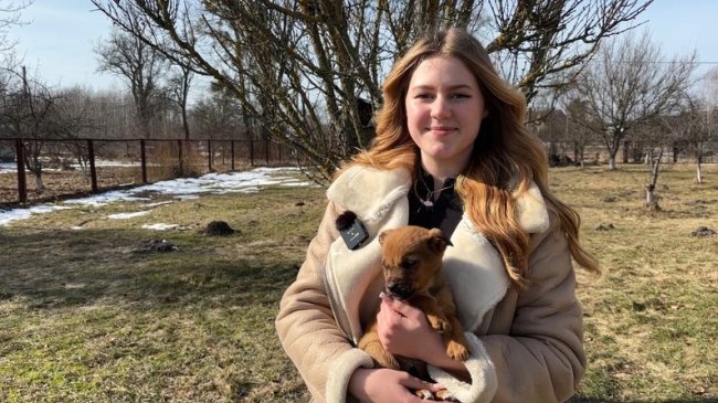 На Волині школярі зняли відео для ТікТок, щоб знайти господарів для цуценят