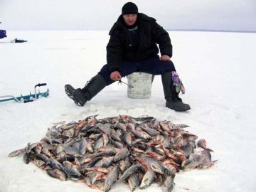 У рибалок на Волині вилучили 743 кілограми риби