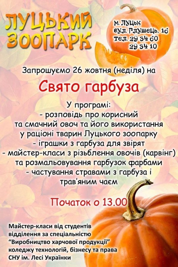 Лучан запрошують на майстер-клас із різьблення по овочах