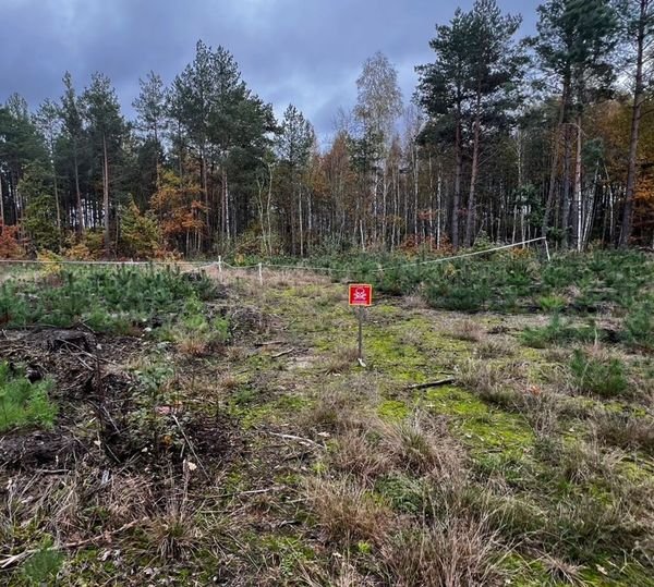 На Рівненщині на міні підірвався мотоцикліст. ФОТО