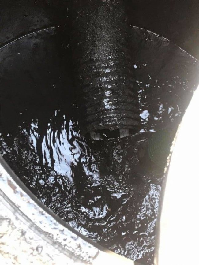 Можуть потрапляти в озеро: у Світязі селяни незаконно зливають нечистоти 