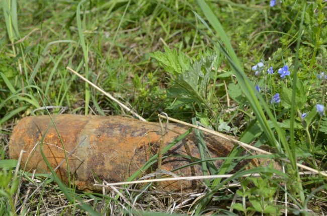 Волинські рятувальники «зачищають» село від боєприпасів часів війни. ФОТО