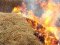 На Одещині 5-річний хлопчик згорів у копиці сіна, яку сам і підпалив