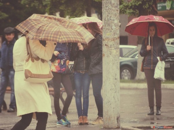 Луцькі парасолі. ФОТО