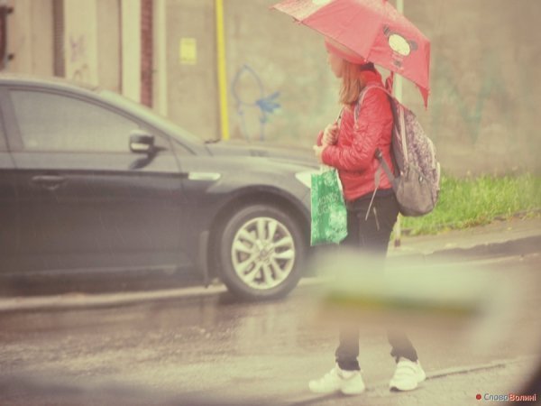 Луцькі парасолі. ФОТО