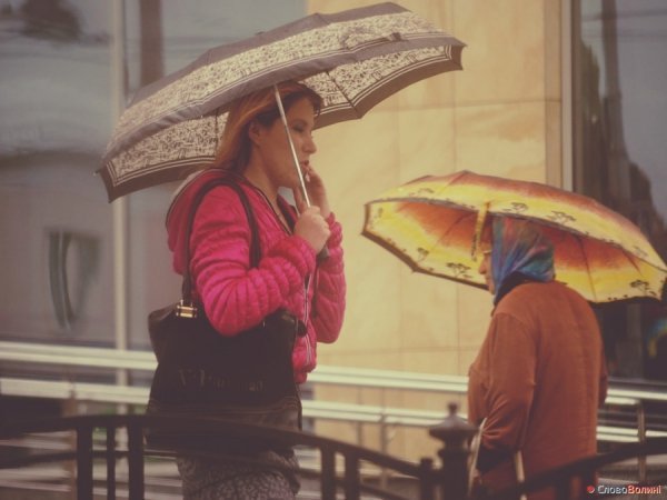 Луцькі парасолі. ФОТО