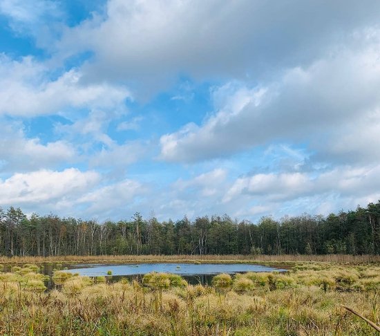«Серце Волині»: де розташоване загадкове озеро, якого нема на карті