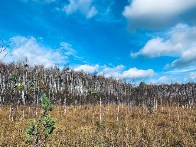 «Серце Волині»: де розташоване загадкове озеро, якого нема на карті