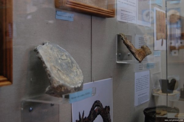 У Луцьку археологи презентували свої знахідки. ФОТО