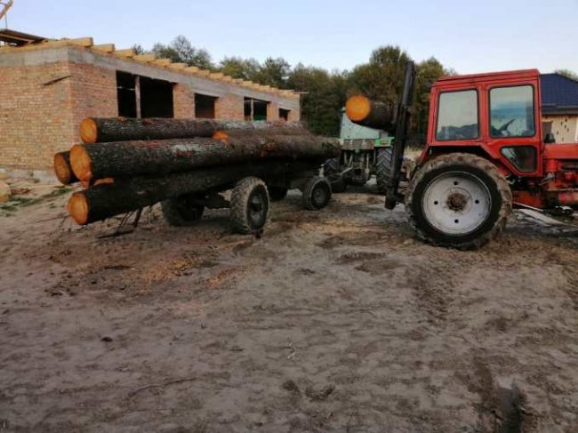 На Волині спіймали злодіїв, які крали вільху у лісі