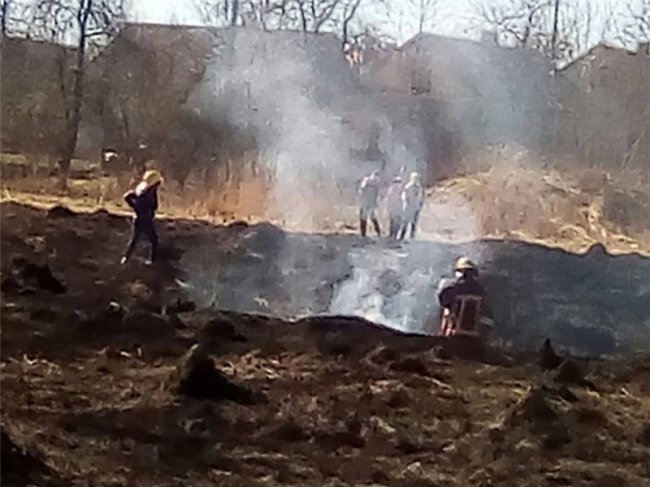 У Нововолинську невідомі влаштували пожежу біля трансформаторної будки. ФОТО