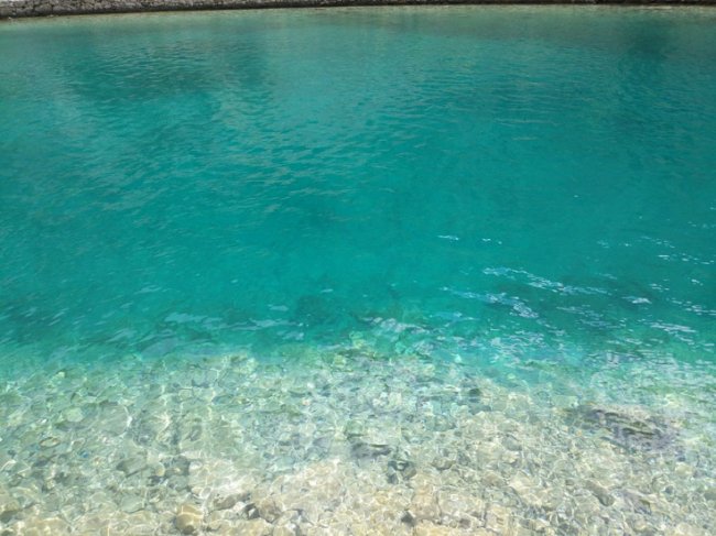 ТОП-15 рекордів мандрівки екс-заступника луцького мера. ФОТО