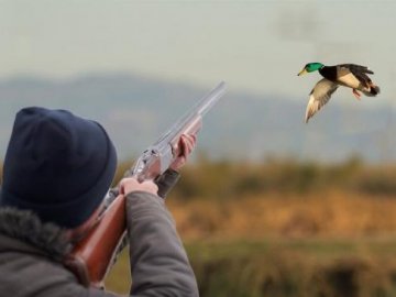 На Волині стартує сезон полювання на пернатих