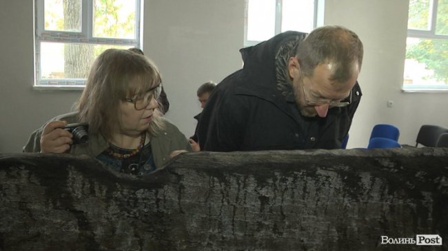 Унікальний стровинний човен, який знайшли в Стиру, оглянули столичні науковці.ВІДЕО