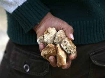 У Володимирі чоловікові розбили голову каменем