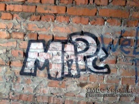  У Луцьку хулігани розмалювали автомобілі