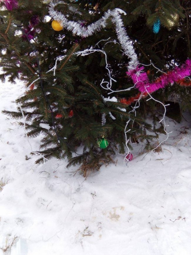 Через вандалів, які понищили ялинку, у селі на Волині хочуть заборонити дискотеки 