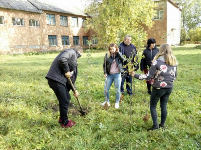 На Любомльщині учні озеленили шкільні двори. ФОТО
