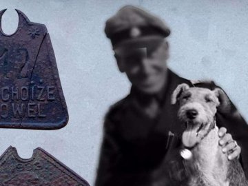 Показали, якими на Волині були собачі жетони у 30-х роках минулого століття. ФОТО 