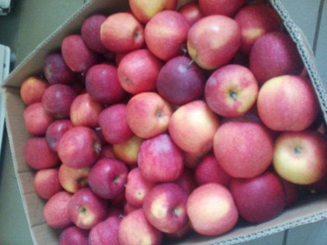 У місті на Волині припинять годувати гарячими обідами нужденних