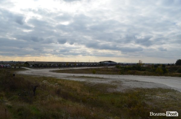 Під Луцьком змагалися автогонщики. ФОТО