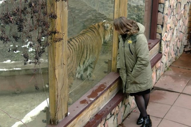 У Луцькому зоопарку чекають на генератори: як працює заклад без світла