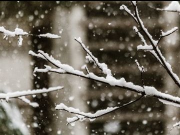 Волинян попереджають про сильний снігопад 