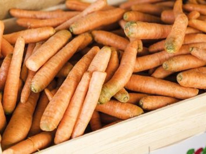 В Україні продовжує дешевшати морква