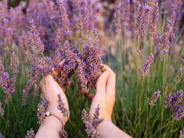 2 липня  – яке сьогодні свято: традиції, заборони і прикмети