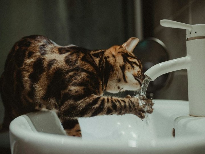 У місті на Волині зростуть тарифи на воду: озвучено причини 