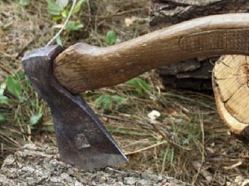 На Волині лісівники спіймали «чорних лісорубів» і перевіряють приватні пилорами